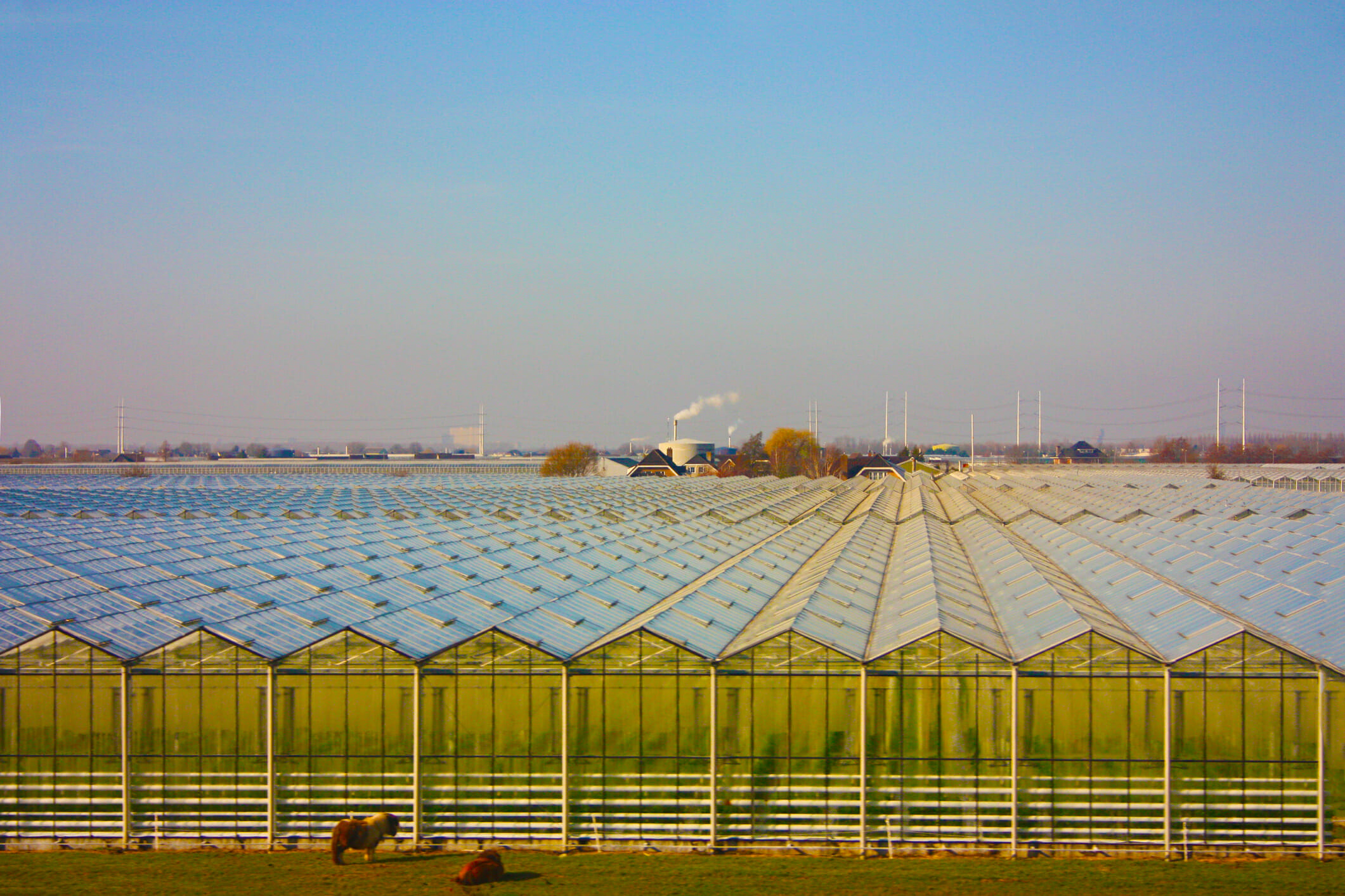 Wil je verhuizen naar het Westland?